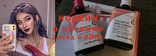 гидра Елизово