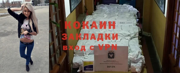 гидра Елизово