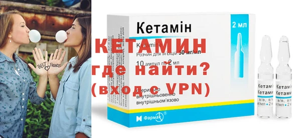 гашик Ельня