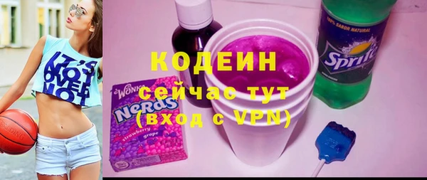 гашик Ельня