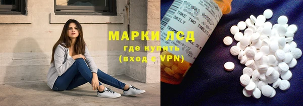 гидра Елизово