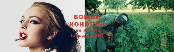 гашик Ельня