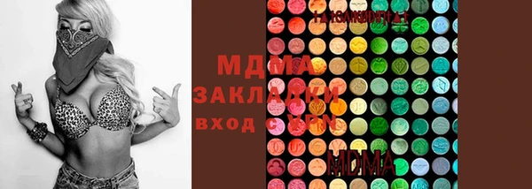 гидра Елизово