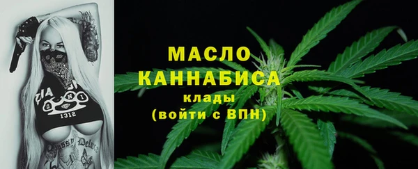 гидра Елизово