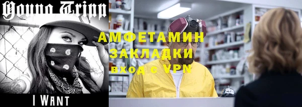 гидра Елизово