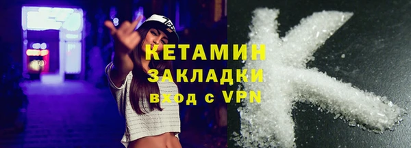 гашик Ельня