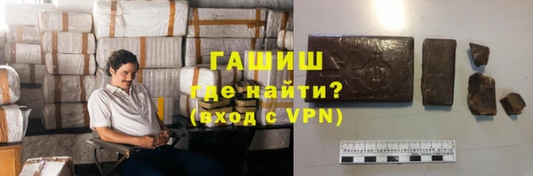 гашик Ельня