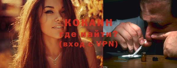 гидра Елизово