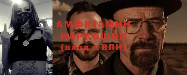гашик Ельня