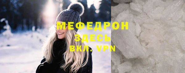 гашик Ельня