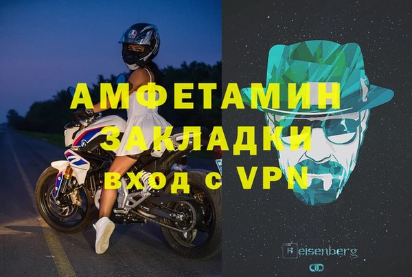 гашик Ельня