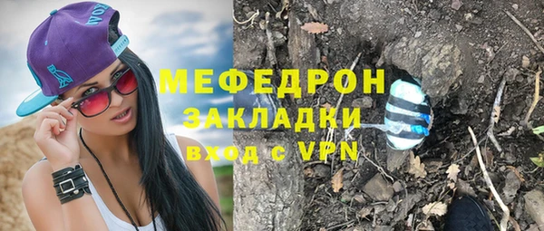 гашик Ельня