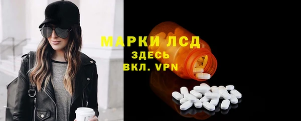 гашик Ельня