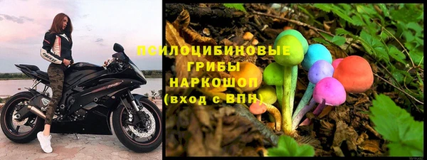 гидра Елизово