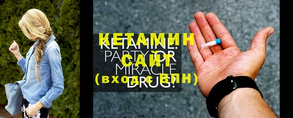 гашик Ельня
