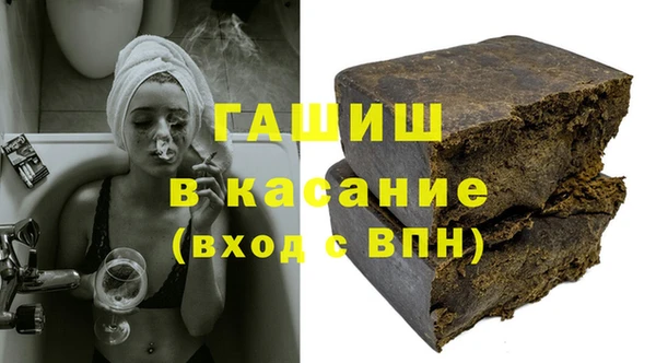 гашик Ельня